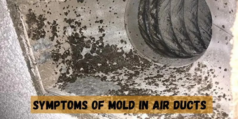 Symptoms of Mold in Air Ducts