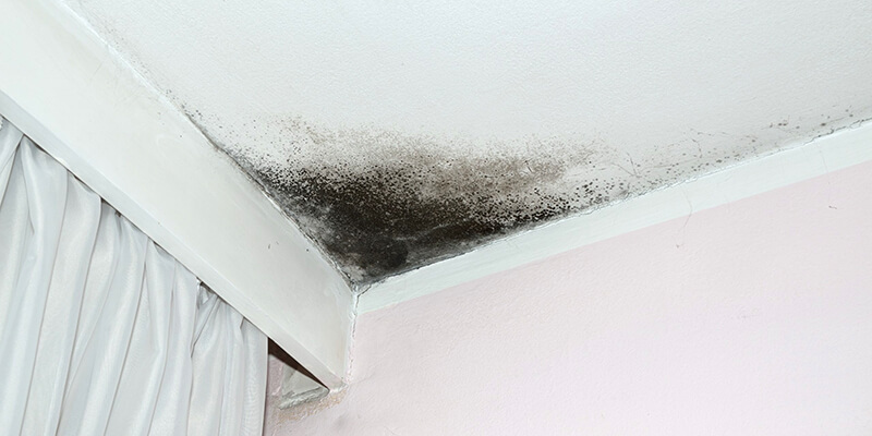 how to remove mold from bathroom ceiling - United Air Duct Cleaning And Restoration Services