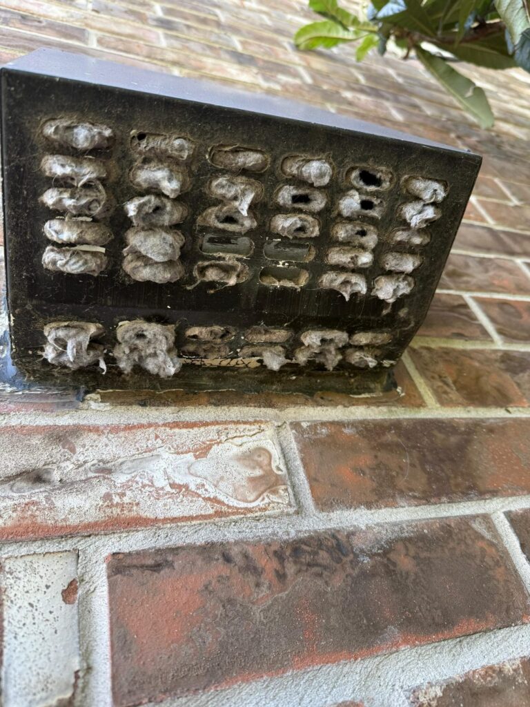 Exterior dryer vent cap blocked with packed lint before cleaning in Brookshire, TX