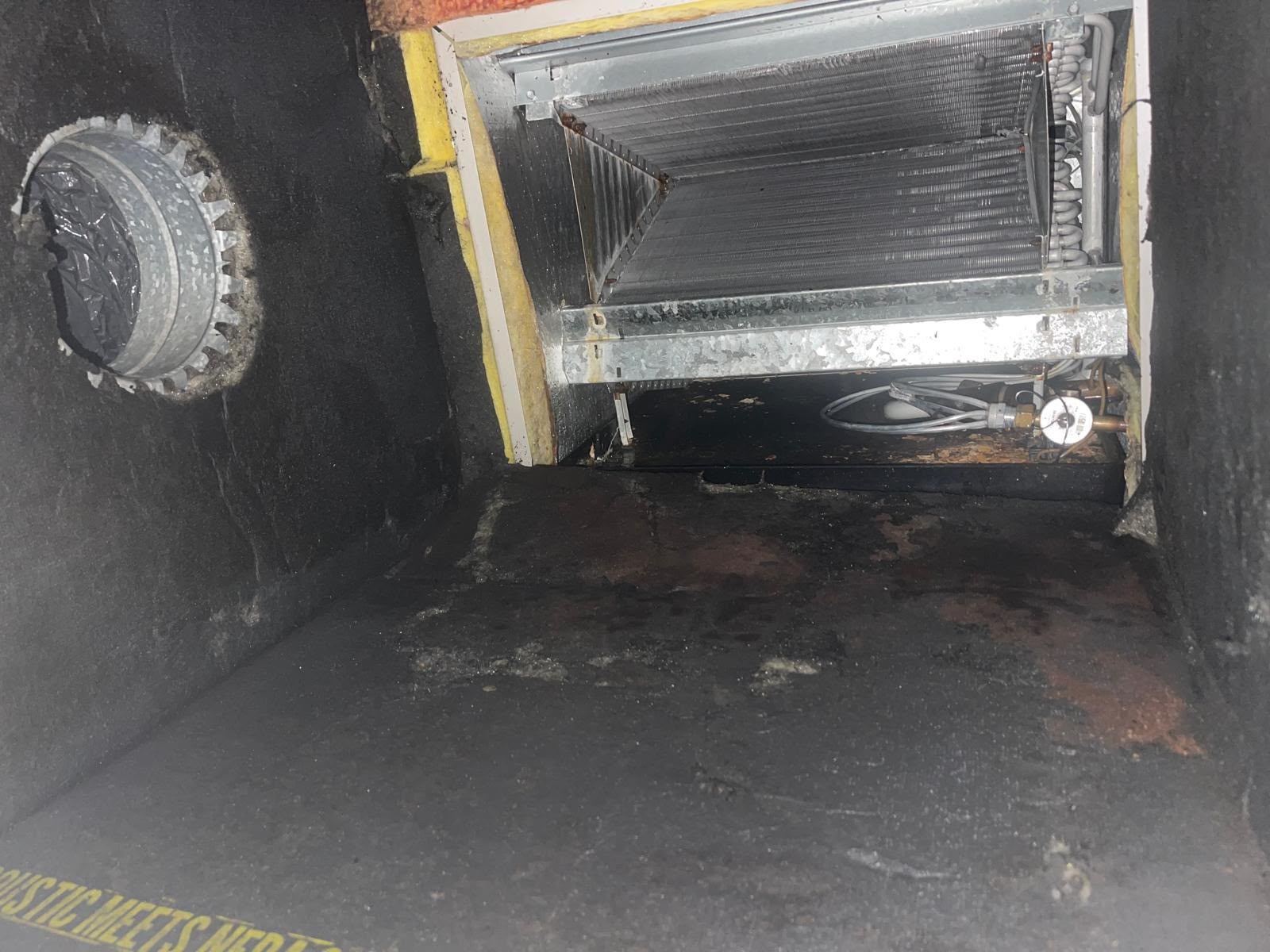 HVAC plenum and evaporator coil with heavy buildup before cleaning