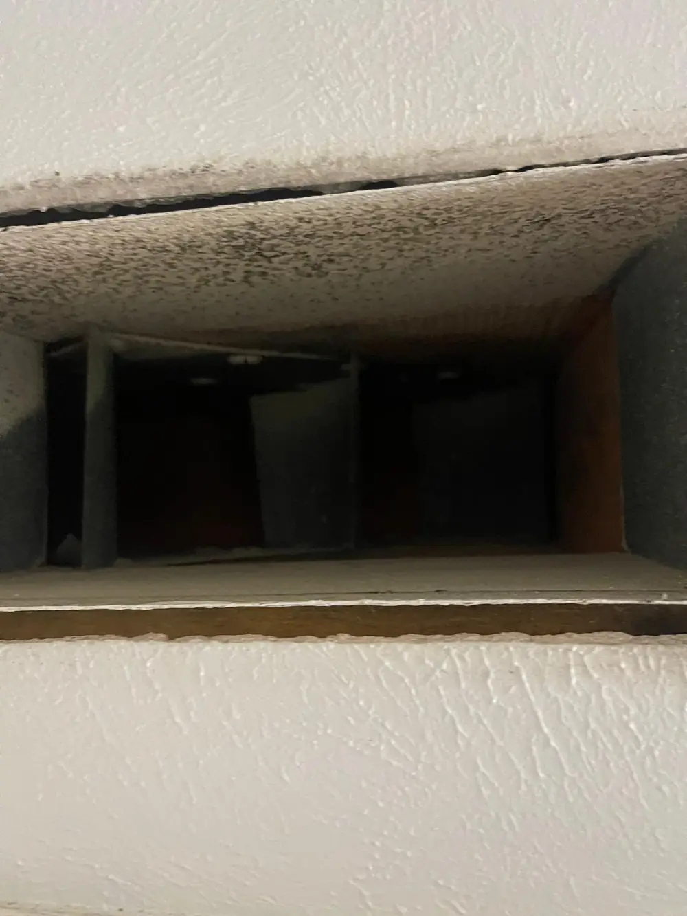 Dark microbial speckling on fiberglass duct board surface before antimicrobial treatment Katy TX