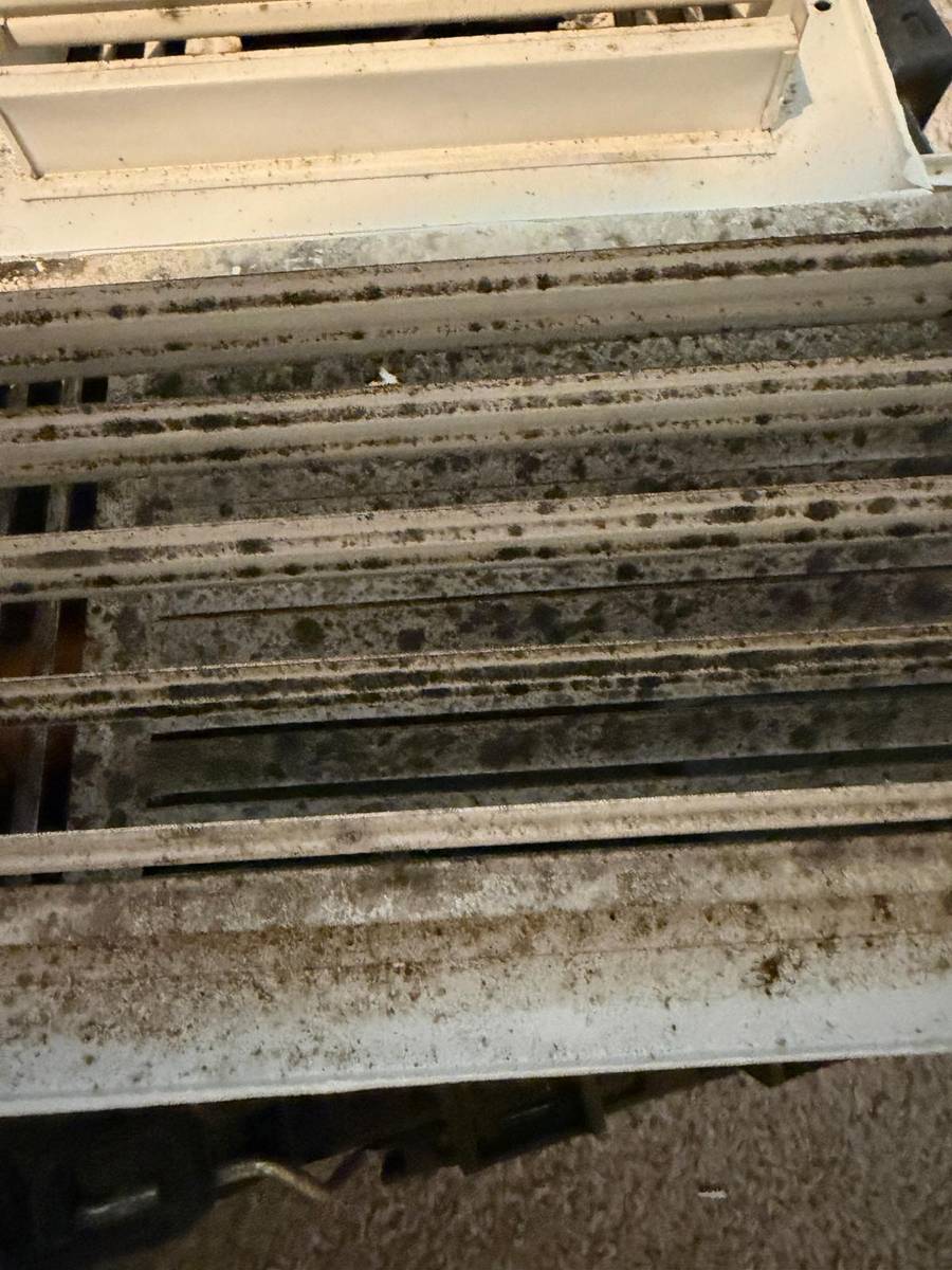 Mold buildup on air vent louvers before cleaning in Richmond TX
