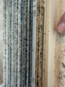 Mold on an air vent register before air duct cleaning in Richmond TX 77407