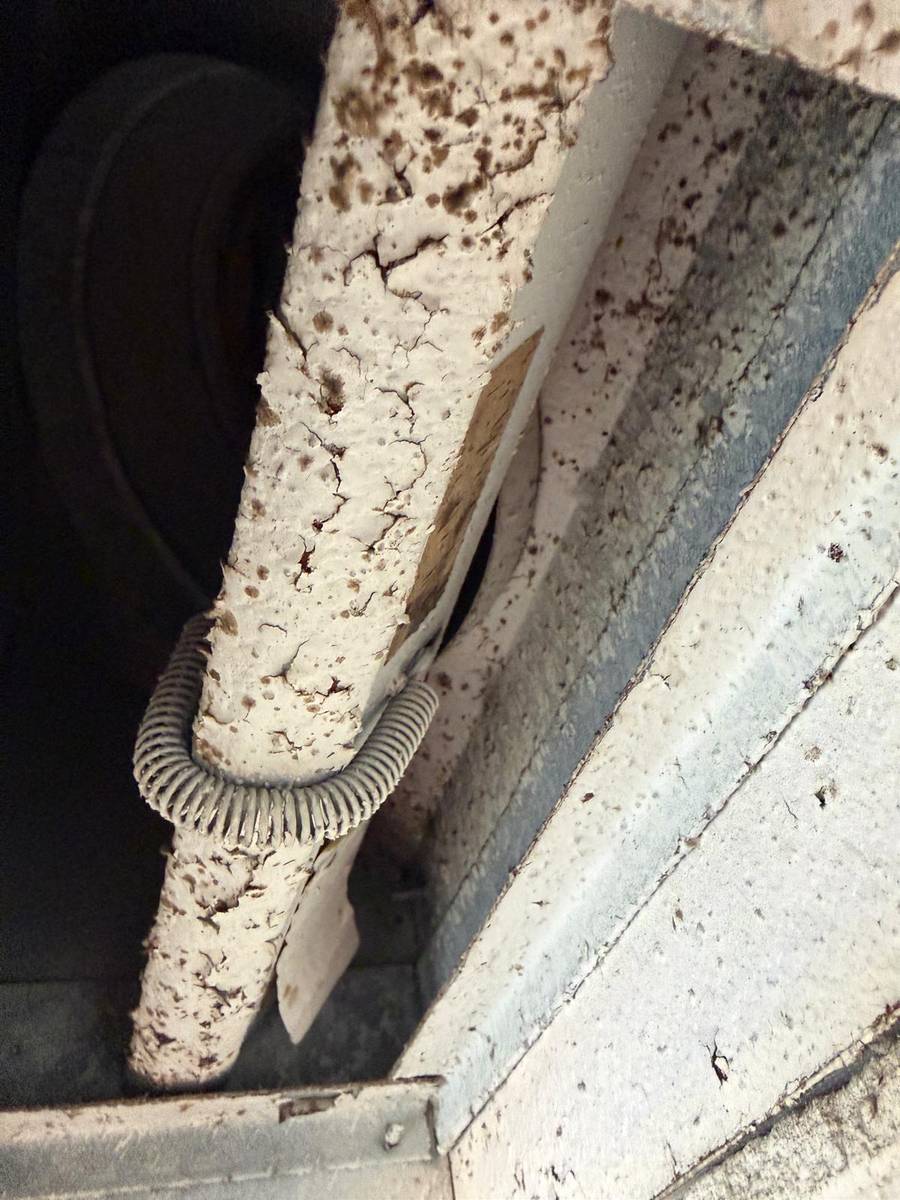 Moldy fiberglass duct board inside the plenum before cleaning in Richmond TX